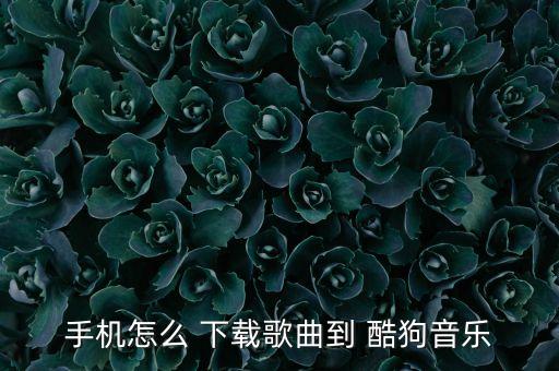 舞蹈屋下载舞曲怎样到酷狗,怎么下载广场舞视频?