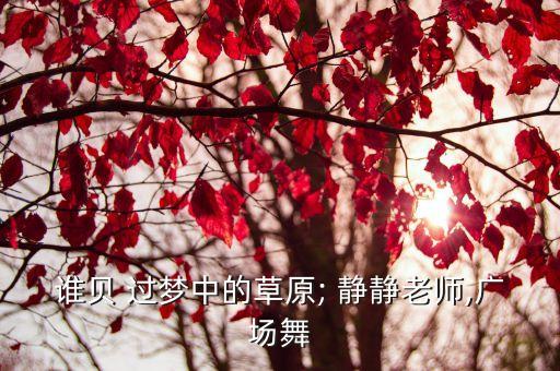 谁贝 过梦中的草原; 静静老师,广场舞