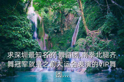 求深圳最知名的 舞蹈团,南拳北腿齐舞冠军就是之前大运会表演的VIP舞团...