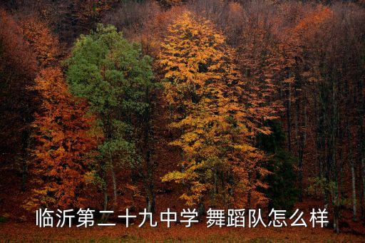 怎样介绍舞蹈队,临沂二十九中舞蹈队舞蹈曲目介绍如下: