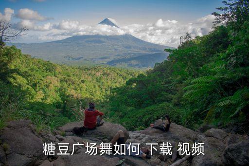 糖豆广场舞如何 下载 视频
