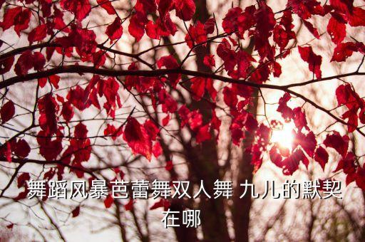  舞蹈风暴芭蕾舞双人舞 九儿的默契在哪