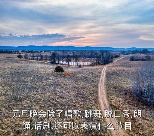 元旦晚会除了唱歌,跳舞,脱口秀,朗诵,话剧,还可以表演什么节目