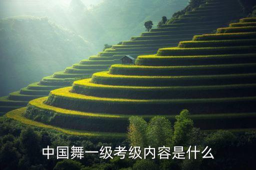 舞蹈知识问答一百题,高考艺考舞蹈类型包括中国舞