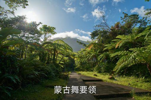 蒙古舞要领