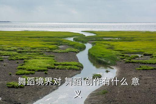  舞蹈境界对 舞蹈 创作有什么 意义