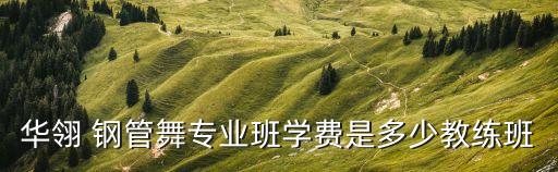 华翎 钢管舞专业班学费是多少教练班