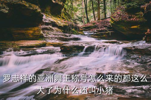 舞蹈猪,猪圈太小玩得不尽兴公猪偷了一个含有母猪罐头跳舞
