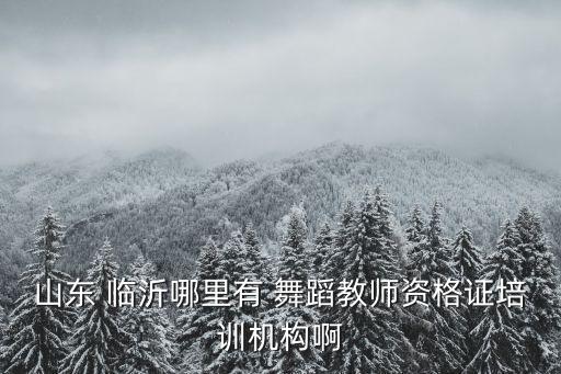 临沂南坊舞蹈,我国艺术学院本科学生毕业后能到哪里学艺?