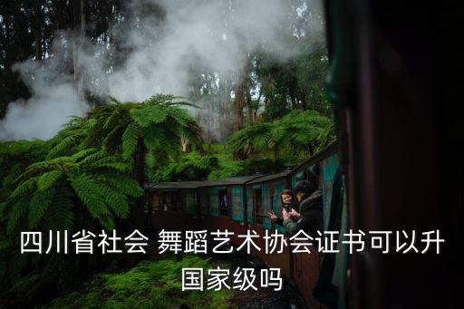 四川省社会 舞蹈艺术协会证书可以升国家级吗