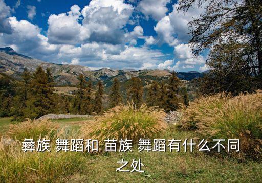 彝族 舞蹈和 苗族 舞蹈有什么不同之处