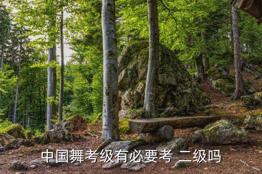 中国舞舞蹈二级视频,中国舞蹈考级证明含金量极高