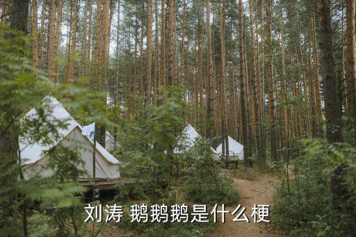 刘涛 鹅鹅鹅是什么梗