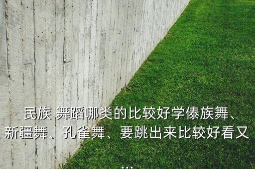  民族 舞蹈哪类的比较好学傣族舞、新疆舞、孔雀舞、要跳出来比较好看又...