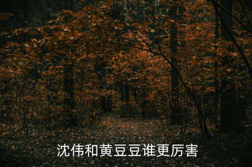 纽约沈伟舞蹈春之祭,现代舞女将沈伟从小被熏陶