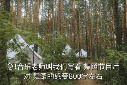 急!音乐老师叫我们写看 舞蹈节目后对 舞蹈的感受800字左右
