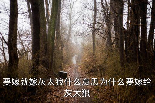 要嫁就嫁灰太狼什么意思为什么要嫁给灰太狼