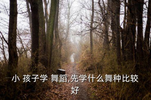 小 孩子学 舞蹈,先学什么舞种比较好