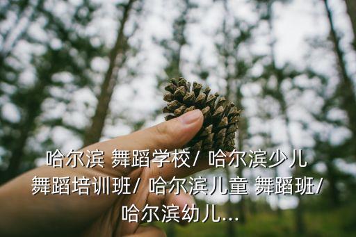 哈尔滨舞蹈班,哈尔滨舞蹈学校很多愿意认真教的老师不多