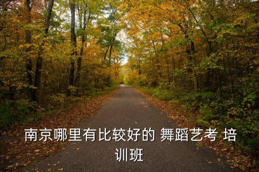 南京专业舞蹈 培训,选舞蹈课要注意什么?