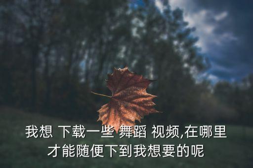 古代歌曲舞蹈视频大全视频大全视频下载,如何下载和转mp3?