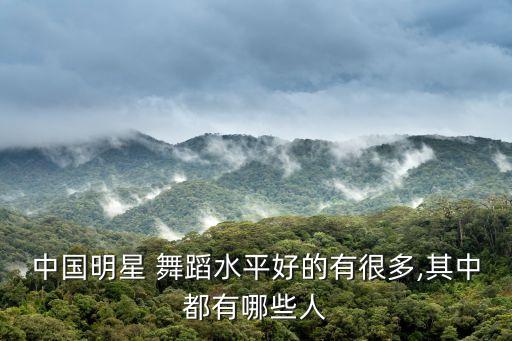 茉莉花开舞蹈,中国民间舞蹈团队前成员