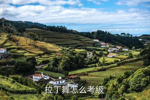 舞蹈室报名表,拉丁舞五种风格申请材料须经核实