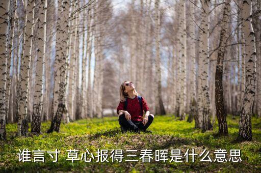 谁言寸 草心报得三春晖是什么意思