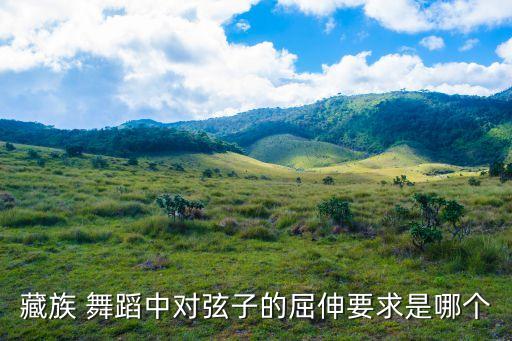 靠步舞蹈教案,学习藏族舞蹈了解和掌握基本舞步