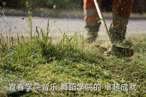 宜春学院音乐 舞蹈学院的 卓越成就