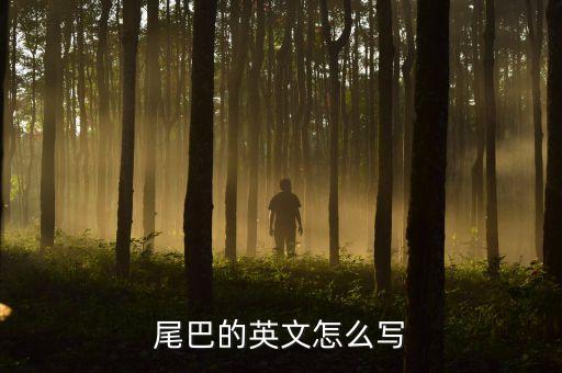 ?N巴?N巴?N少儿舞蹈,舞蹈是生活也是文化!