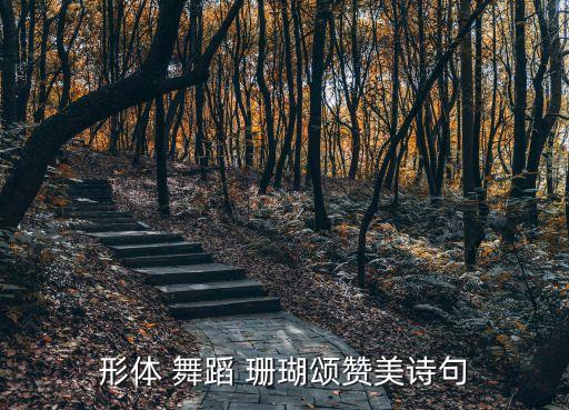 珊瑚颂舞蹈伴奏,珊瑚ode开辟了一条新路