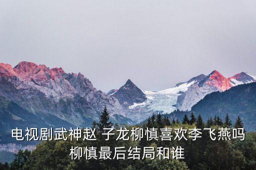 电视剧武神赵 子龙柳慎喜欢李飞燕吗柳慎最后结局和谁