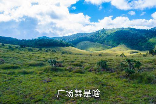  广场舞是啥