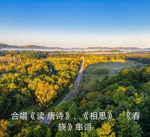 读唐诗合唱 舞蹈视频下载,从网络视频回到现实世界