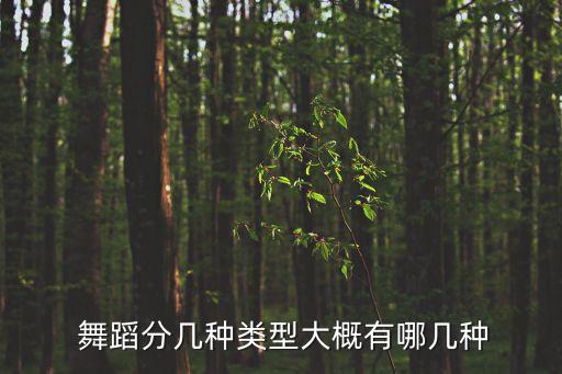  舞蹈分几种类型大概有哪几种