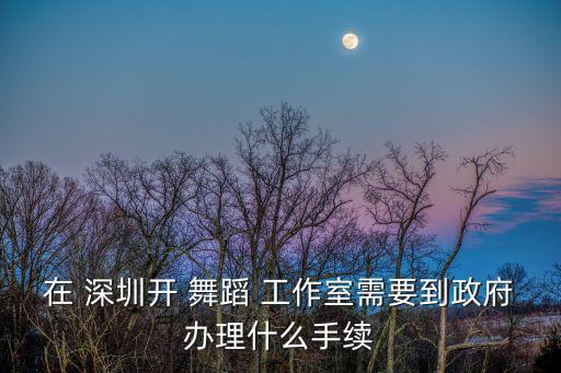 深圳南山舞蹈工作室,本地舞蹈学府推出新作品