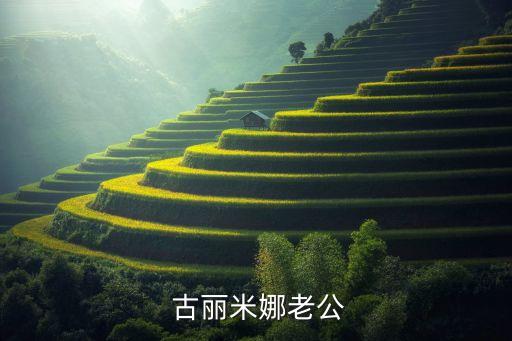 中国好舞蹈古丽米娜视频,你好中国舞蹈十佳学员名单出炉