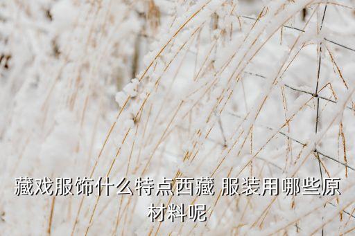 高档藏族舞蹈服装批发,藏族服装介绍
