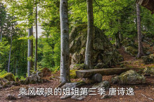 拍唐诗舞蹈视频下载,唐诗逃离中国古典舞蹈的天花板