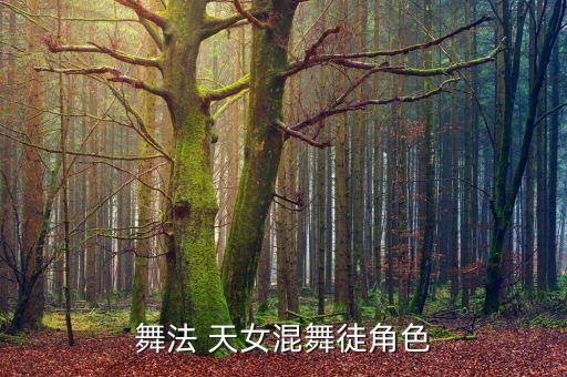 舞法 天女混舞徒角色