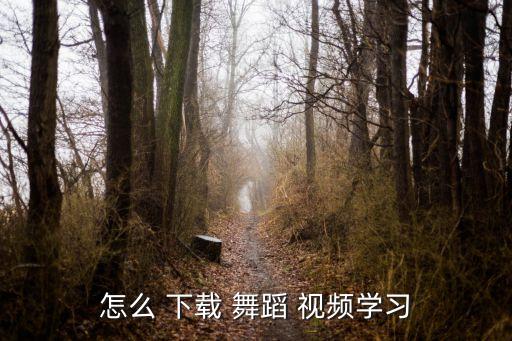 怎么 下载 舞蹈 视频学习