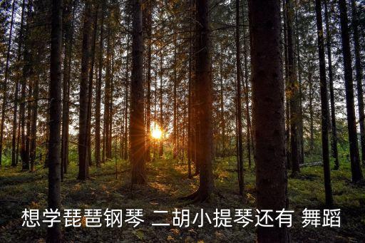 二胡舞蹈,关于二胡的文字