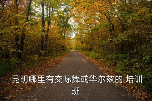  昆明哪里有交际舞或华尔兹的 培训班