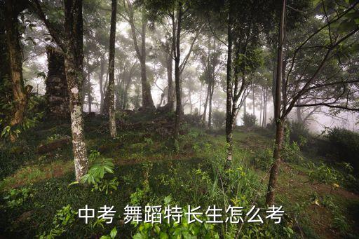 中考 舞蹈特长生怎么考
