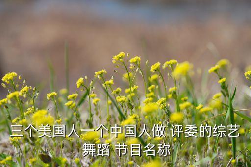 三个美国人一个中国人做 评委的综艺 舞蹈 节目名称