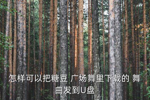 怎样可以把糖豆 广场舞里下载的 舞曲发到U盘