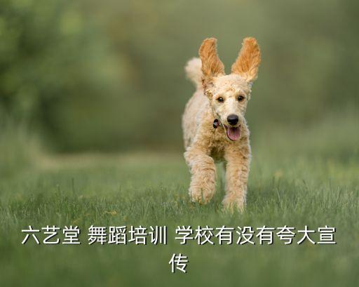 六艺堂 舞蹈培训 学校有没有夸大宣传