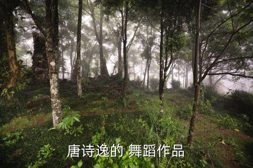 儿童革命舞蹈,八部革命样板戏演出现代芭蕾舞剧