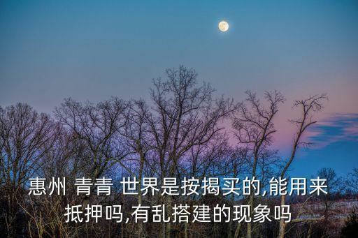 惠州 青青 世界是按揭买的,能用来抵押吗,有乱搭建的现象吗